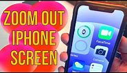How to Zoom Out iPhone 15/14/13 Pro/Max/Mini: Turn off Zoomed on iPhone