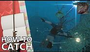 How to Catch Kitefin Shark in FFXIV (Best Purple Scrip Farm)