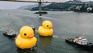 Giant rubber duck makes its comeback in Hong Kong after a decade, bringing a new friend