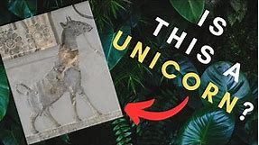 African Unicorn - From Myth to Reality - How a Cryptid was Discovered to be REAL