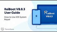 ReiBoot V8.0.3 User Guide: How to Use iOS System Repair