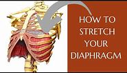 How To Stretch Your Diaphragm | Diaphragmatic Excursion