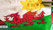 St David's Day 2024: Everything you need to know