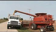 CASE IH Agriculture 1990s Combines - 4 Models - 10 Farmers - Michigan - Ohio - Harvest 2020 Chasing