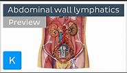 Lymphatics of the posterior abdominal wall (preview) - Human Anatomy | Kenhub