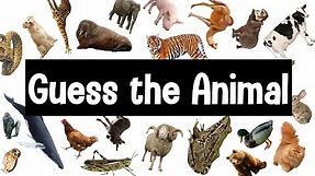 Guess the Animal Sound Game | 30 Animal Sounds Quiz | Wildlife Trivia