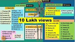 All 206 bones in Human Skeleton | Axial Skeleton | Appendicular Skeleton | Dr Ghanshyam Jangid