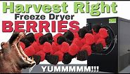 Harvest Right Freeze Dryer (Raspberries and Blackberries)