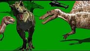 jurassic park green screen collection | braquiossauro,stegosaurus,raptor dino,t rex green screen