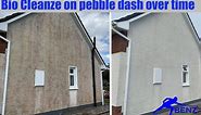 How to soft wash pebble dash (dry dash) wall render with Bio Cleanze