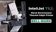 Bell-Mark InteliJet TSX Thermal Inkjet Printer