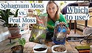 SPHAGNUM MOSS vs PEAT MOSS? Grow Your Rare Houseplants Correctly!