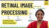 On center off surround bipolar, ganglion cells | physiology of vision | Special senses mbbs 1st year