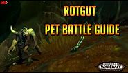 Rotgut Pet Battle Guide - Shadowlands