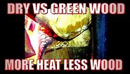 Dry vs green firewood