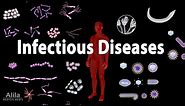 Infectious Diseases Overview, Animation