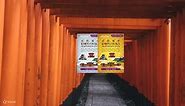 Kyoto-Osaka Sightseeing 1 day or 2 days (Pick up at Osaka or Kyoto) - Klook Malaysia