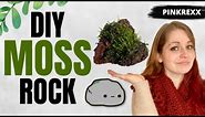 DIY MOSS ROCK - An easy plant DIY project for all ages! How to grow moss on a rock step by step