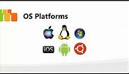 What are different kinds of Operating Systems?