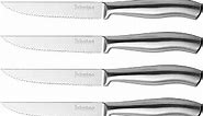 Steak Knife Set of 6, 4.5 inches Dishwasher Safe High Carbon Stainless Steel Knives, Silver