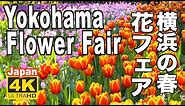 🇯🇵4K Yokohama Flower Spring Fair よこはま花と緑のスプリングフェア 横浜ガーデンネックレス 花フェア Garden 横浜観光 山下公園 赤レンガ倉庫 Japan