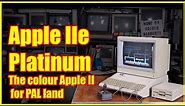 Apple IIe Platinum: The finishing touches