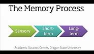 The Memory Process (Segment of the Learning and Memory Video)