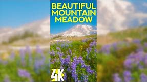 Serenity of a Summer Meadow for Vertical Screens 4K - Wildflowers, Mount Rainier & Nature Sounds