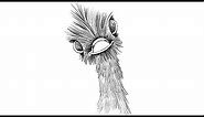 How to draw head of Ostrich