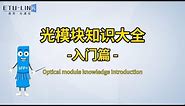 Optical Module Comprehensive Knowledge: Beginner's Guide