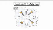 8 arm radial maze