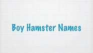 Boy Hamster Names! 💙