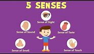 Human Sense Organs | Learn about five Senses