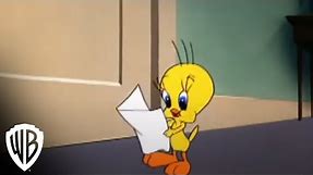 Looney Tunes Super Stars' Tweety & Sylvester: Feline Fwenzy | Admirer | Warner Bros. Entertainment