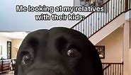 Memes on Instagram: "#relatable #dog #funny #memes #family #fyp #viral"