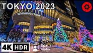 2023 Tokyo Christmas Lights 2 hour Night Walk - 4K HDR 60FPS Spatial Audio
