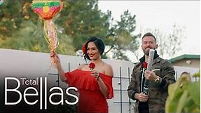 Nikki and Artem host a gender reveal party: Total Bellas, June 11, 2020