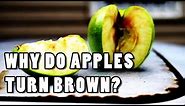 Why do Apples Turn Brown? - Coma Niddy University