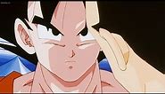 Goku Shuts Vegeta Up