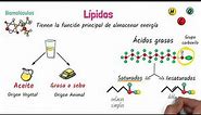 Lípidos Biomoléculas