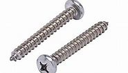 Bolt Dropper #14 X 2" Stainless Pan Head Phillips Wood Screw, (25pc), 18-8 (304) Stainless Steel Screws by Bolt Dropper