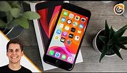 iPhone SE 2020: Was Apple für 470€ bietet - Unboxing