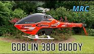 SAB Goblin 380 Buddy - Sport Flying w/ SAFE Demonstration