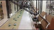 4 Delta Robots Pick & Pack Food Pouches in Automated Top Load Cartoner - StrongPoint Automation
