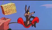 Soup or Sonic 1980 Merrie Melodies Wile E. Coyote and Road Runner Cartoon Short Film