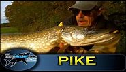 Pike fishing - Sprats vs Sardines - Battle of the Baits