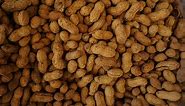 Peanut Allergy | Causes, Symptoms & Treatment | ACAAI Public Website