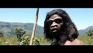 Ape To Man | Theory of Evolution Documentary