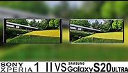 Sony Xperia 1 II Vs Galaxy S20 Ultra Camera Test