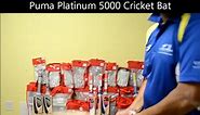 Puma Platinum 5000 Cricket Bat - CricMax (www.cricmax.com)